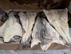 Salted Cod