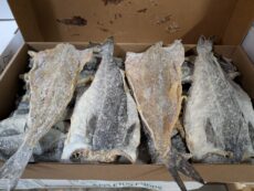 Salted Pollock
